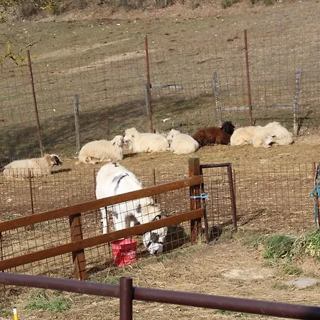 Alloggio per agriturismo Natura E Gusto Fattoria Didattica Cascia