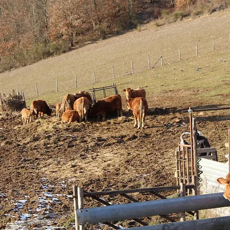 Natura E Gusto Fattoria Didattica *