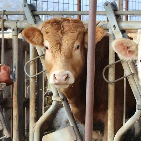 Natura E Gusto Fattoria Didattica Cascia